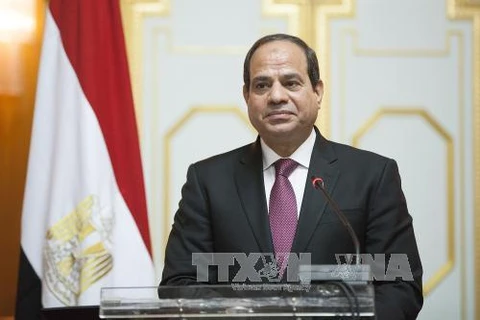 埃及总统即将对越南进行国事访问