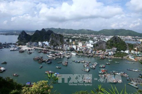 广宁省正主张将云屯特别经济行政区建设成绿色海洋岛屿城市。