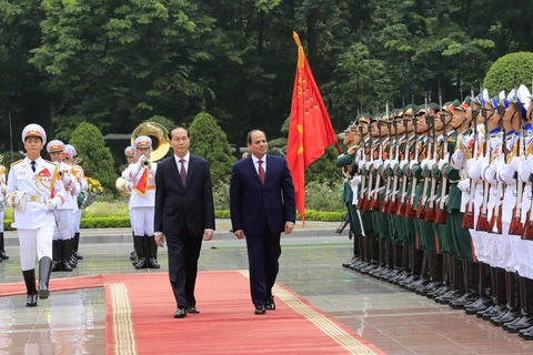 越南国家主席陈大光（左）和埃及总统塞西检阅仪仗队。（图片来源：越通社）