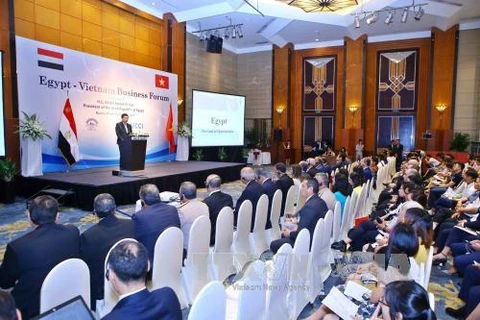 越南埃及企业论坛场景。（图片来源：越通社）