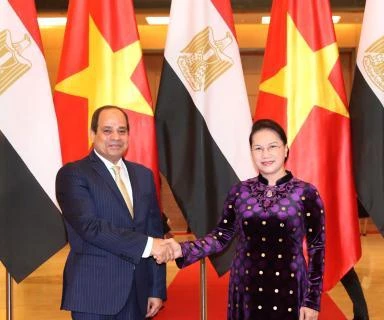 越南国会主席阮氏金银与埃及总统阿卜杜勒·法塔赫·塞西。
