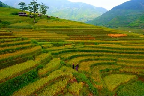 越南风景。