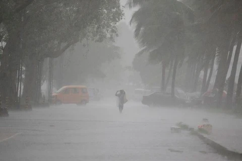菲律宾东部遭台风龙王袭击。（图片来源：philstar.com）