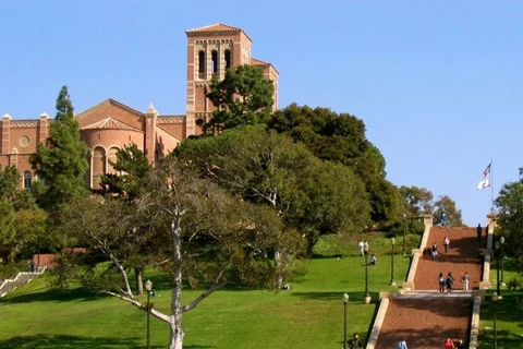 美国加州大学洛杉矶分校。