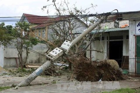 第十号台风“杜苏芮”袭击对越南造成影响。（图片来源：越通社）