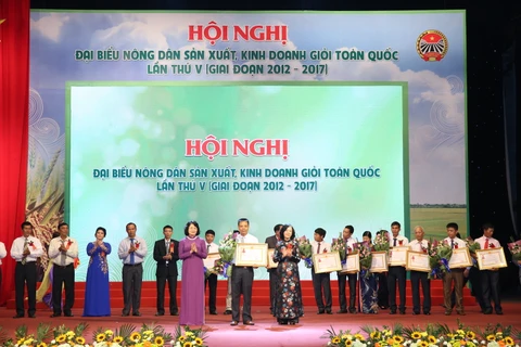 越南农民生产经营能手全国代表大会在河内举行 