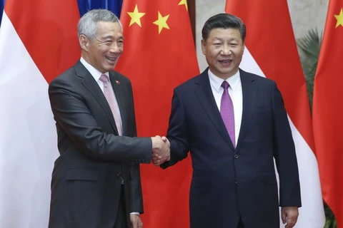 李显龙总理（左）与习近平主席握手。（图片来源：越通社）