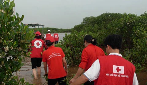 越南红十字会积极开展人道主义活动。