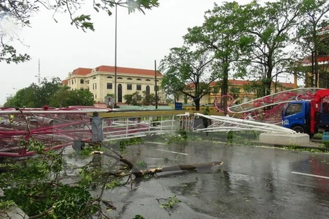 越南中部遭受台风袭击造成严重损失。（图片来源：越通社） 