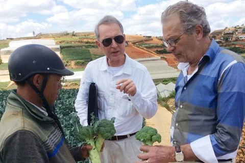 荷兰专家与越南林同省大叻市农民​交谈。