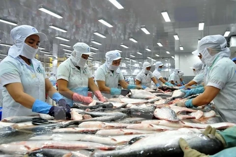 ​附图：越南查鱼出口。（图片来源：越通社）