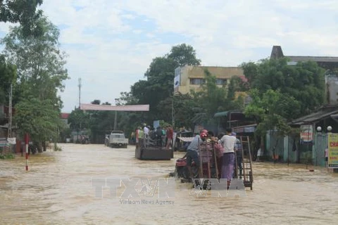 遭洪水袭击清化省多条道路被淹。