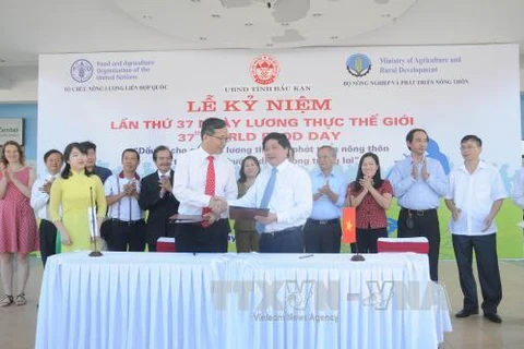 越南农业与农村发展部与粮农组织的国家合作计划签字仪式。