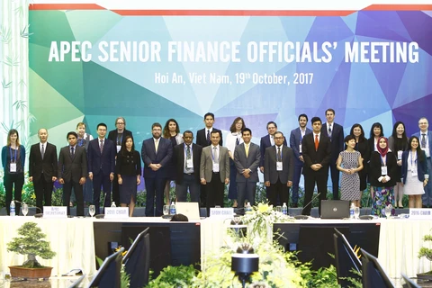 出席2017年APEC财政高官会代表合影。（图片来源：越通社）