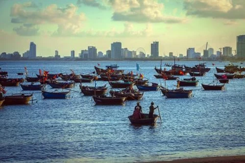 岘港市力争发展成为全国乃至地区的海洋经济中心