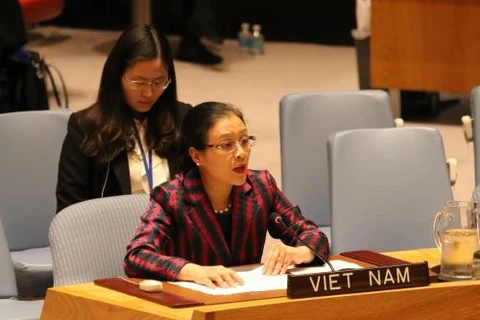 越南常驻联合国代表团团长阮芳娥大使
