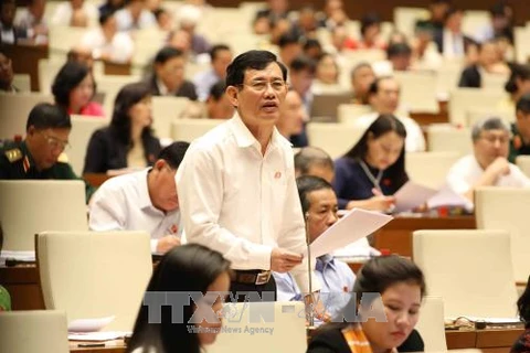 广平省国会代表郑玉方在会议上发表意见。（图片来源：越通社）