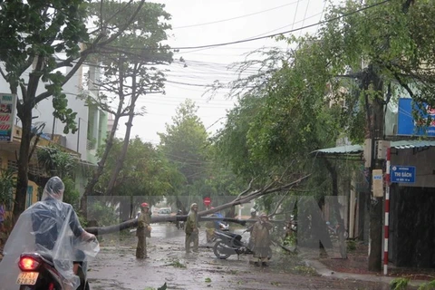 第十二号台风登陆越南为中南部地区造成巨大人员和财产损失
