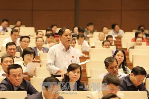 安江省国会代表阮梅部在会议上发表意见。