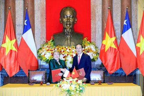 国家主席陈大光与智利总统米歇尔·巴切莱特举行会谈