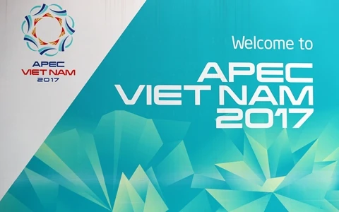 APEC第25次领导人会议今日在岘港市召开