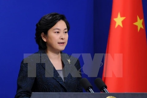 中国外交部发言人华春莹：中国将尽快向越南提供所需援助物资