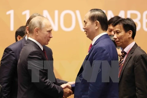 2017年APEC会议：树立越南在俄罗斯对亚太地区政策中地位的主要因素