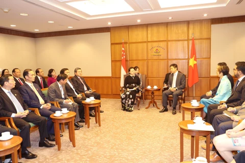  越南国会主席阮氏金银与新加坡国会议长陈川仁举行会谈