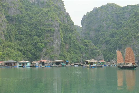 广宁省努力保护与弘扬下龙湾渔村特色的文化价值