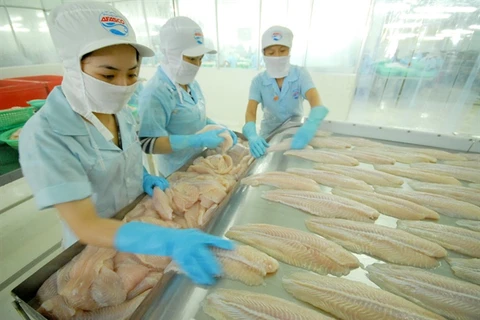 越南努力加大对欧盟查鱼出口力度