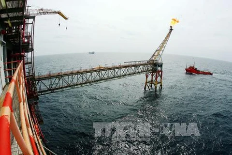 越南石油勘探开采总公司提前完成全年既定目标