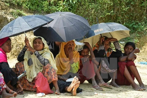 缅甸政府成立若开邦问题建议执行委员会