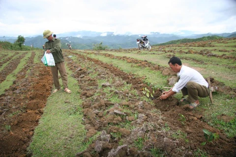 莱州边境地区人民努力做好新农村建设工作