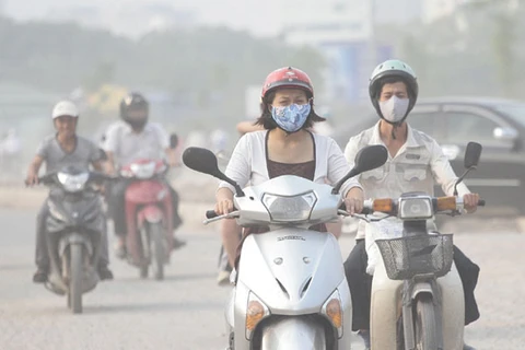 胡志明市努力控制交通运输的温室气体排放
