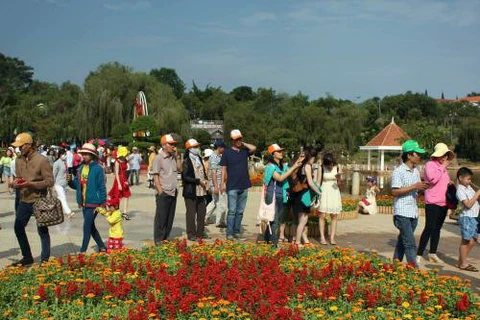 2017年大叻国际花卉展吸引逾6万名游客前来参观