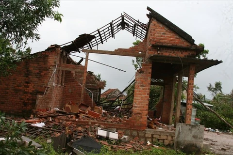 联合国开发计划署协助越南灾民重建房屋