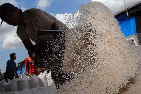 印度尼西亚将从越南进口大米