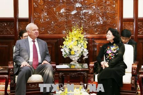 越南国家副主席邓氏玉盛会见俄罗斯代表团