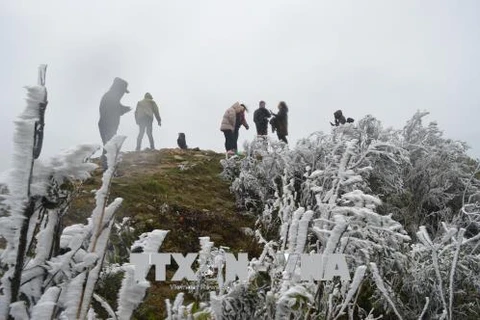 下雪天气 母山旅游景区游客量猛增 