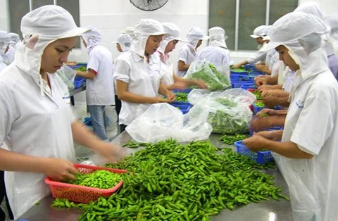 2018年1月越南蔬果出口额约达3.21亿美元