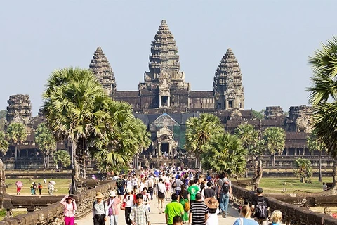 2018年春节柬埔寨接待游客达近100万人次
