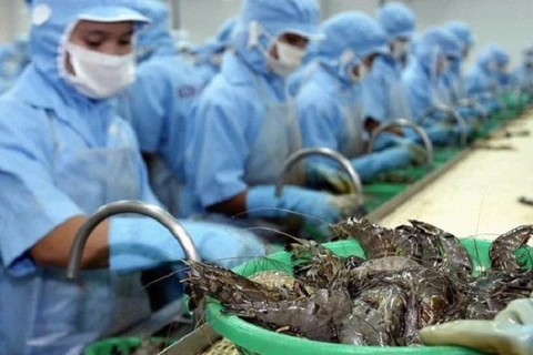  越南虾类生产加工业