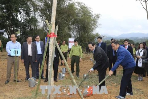 越南国家主席陈大光：为当今和后代保护生态环境可持续发展性