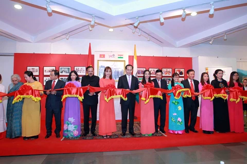 印度越南文化空间有助于加强两国人民的团结友谊