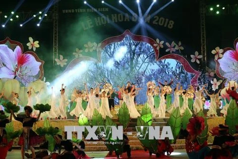 2018年奠边省羊蹄甲花节有助于弘扬传统文化