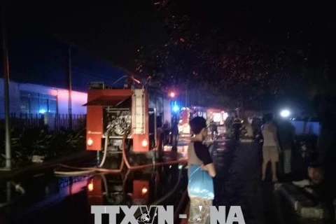 胡志明市：高层公寓发生火灾 造成13死28伤