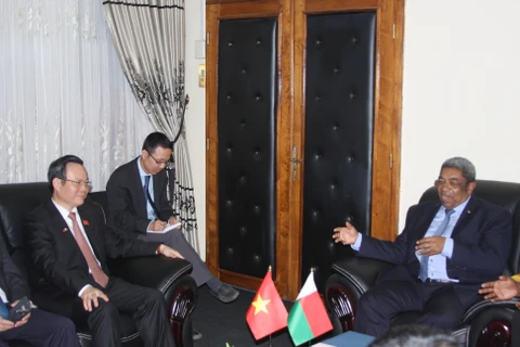 越南国会高级代表团开始对马达加斯加共和国进行访问
