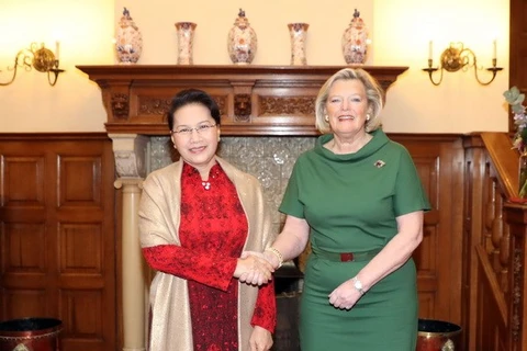 越南国会主席阮氏金银与荷兰参议院议长克诺尔举行会谈