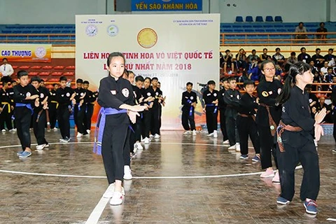 越南国际传统武术节是向世界推介传统武术的良好机会