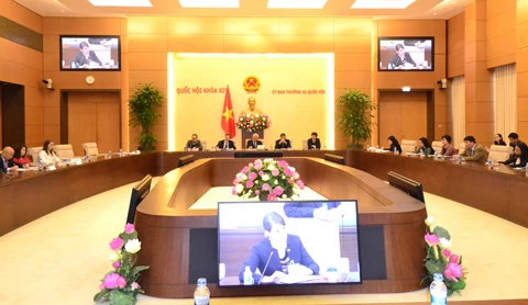 越南国会副主席汪周刘会见美国—东盟商务理事会企业代表团